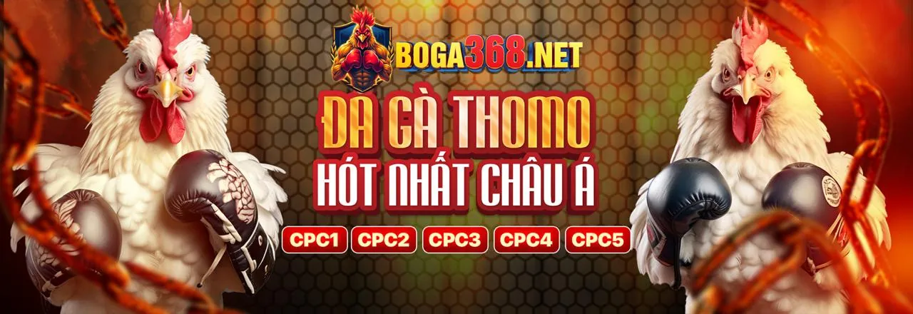 Đá gà trực tuyến kịch tính tại KT88 Chính Thức